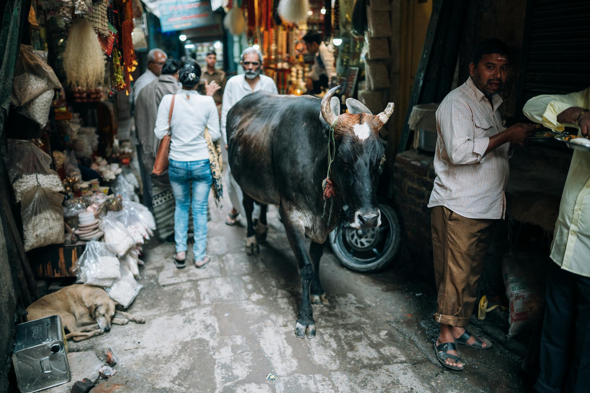 Global Firms Use India IPO Boom to Repatriate Capital