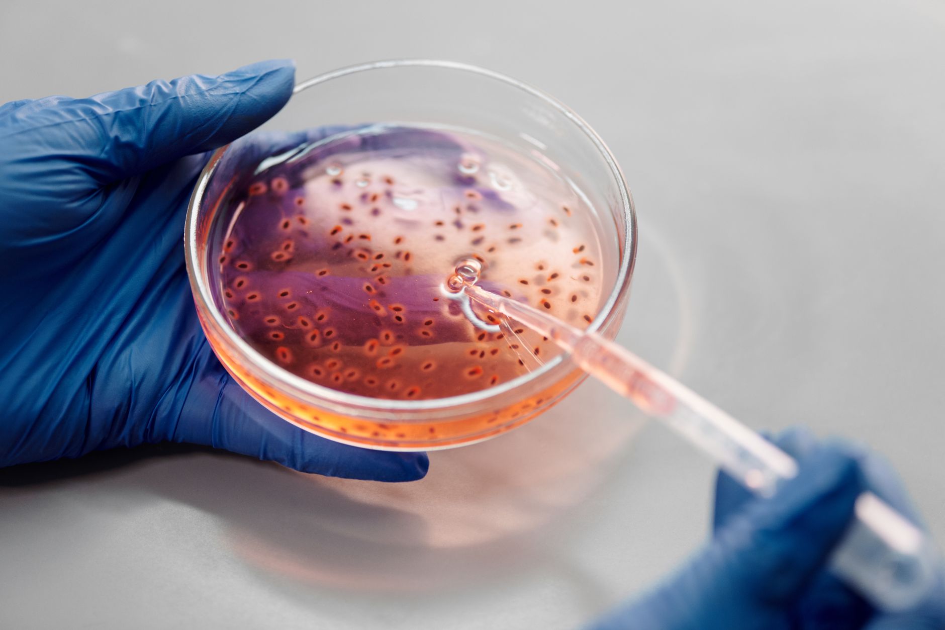 Mandrake Bio Raises Funding for AI-Designed Gene-Editing Enzymes