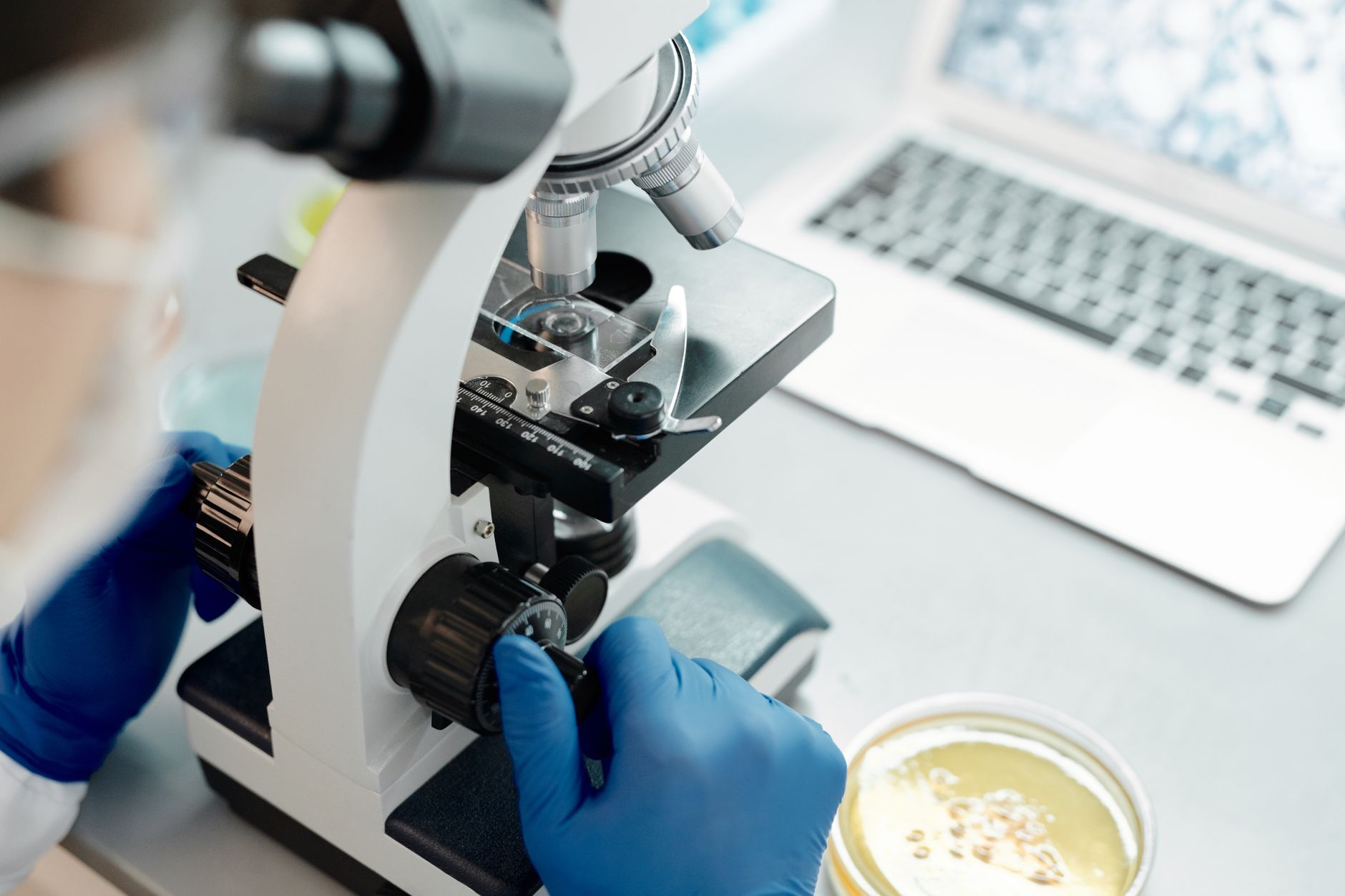 Investors analyze biotechnology ETF opportunities during a healthcare sector rotation driven by growth expectations and market catalysts.