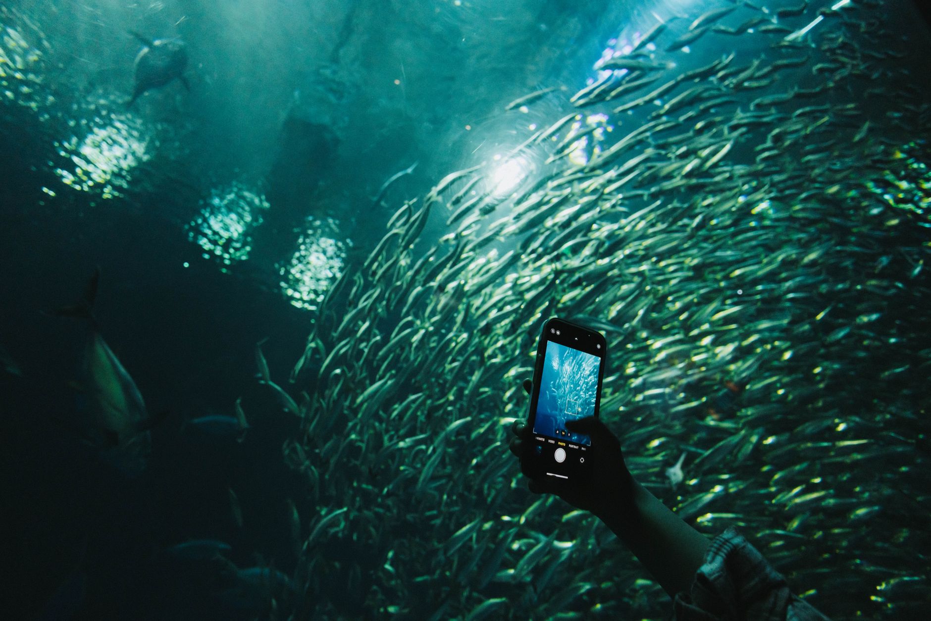 Coda Octopus underwater imaging and defense technologies illustrate the company’s shifting revenue mix toward stronger defense engineering demand.
