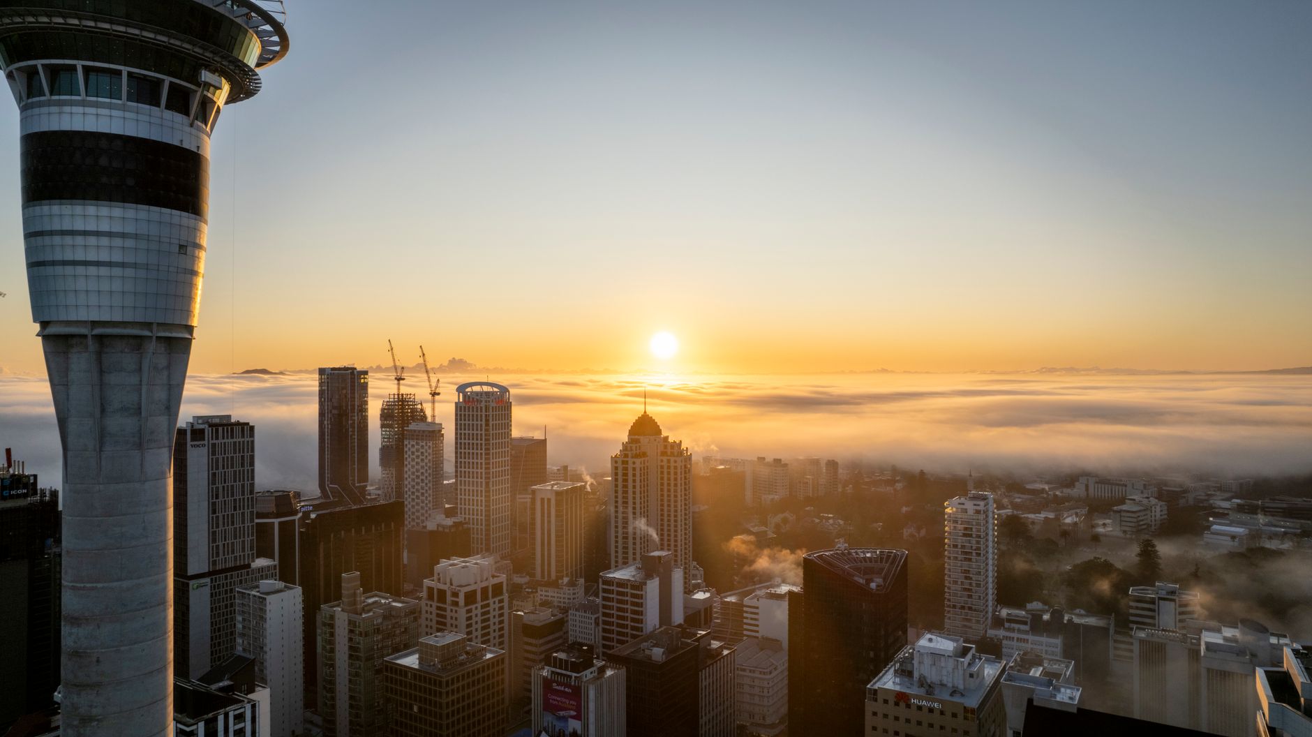 New Zealand Services Activity Hits Strongest Level Since 2023 as Recovery Extends