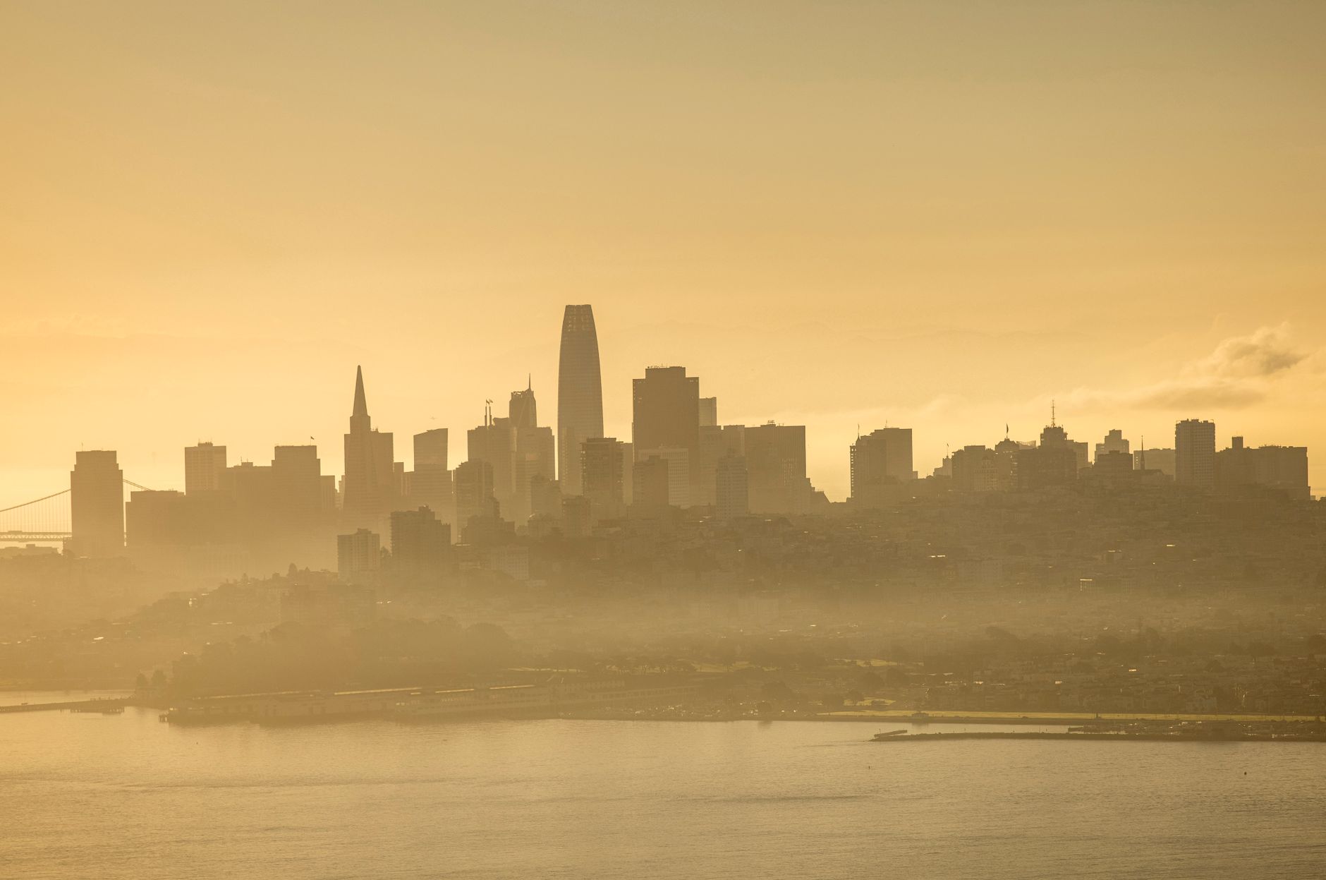Salesforce Drops Agentforce Branding From Major Products Ahead of Dreamforce