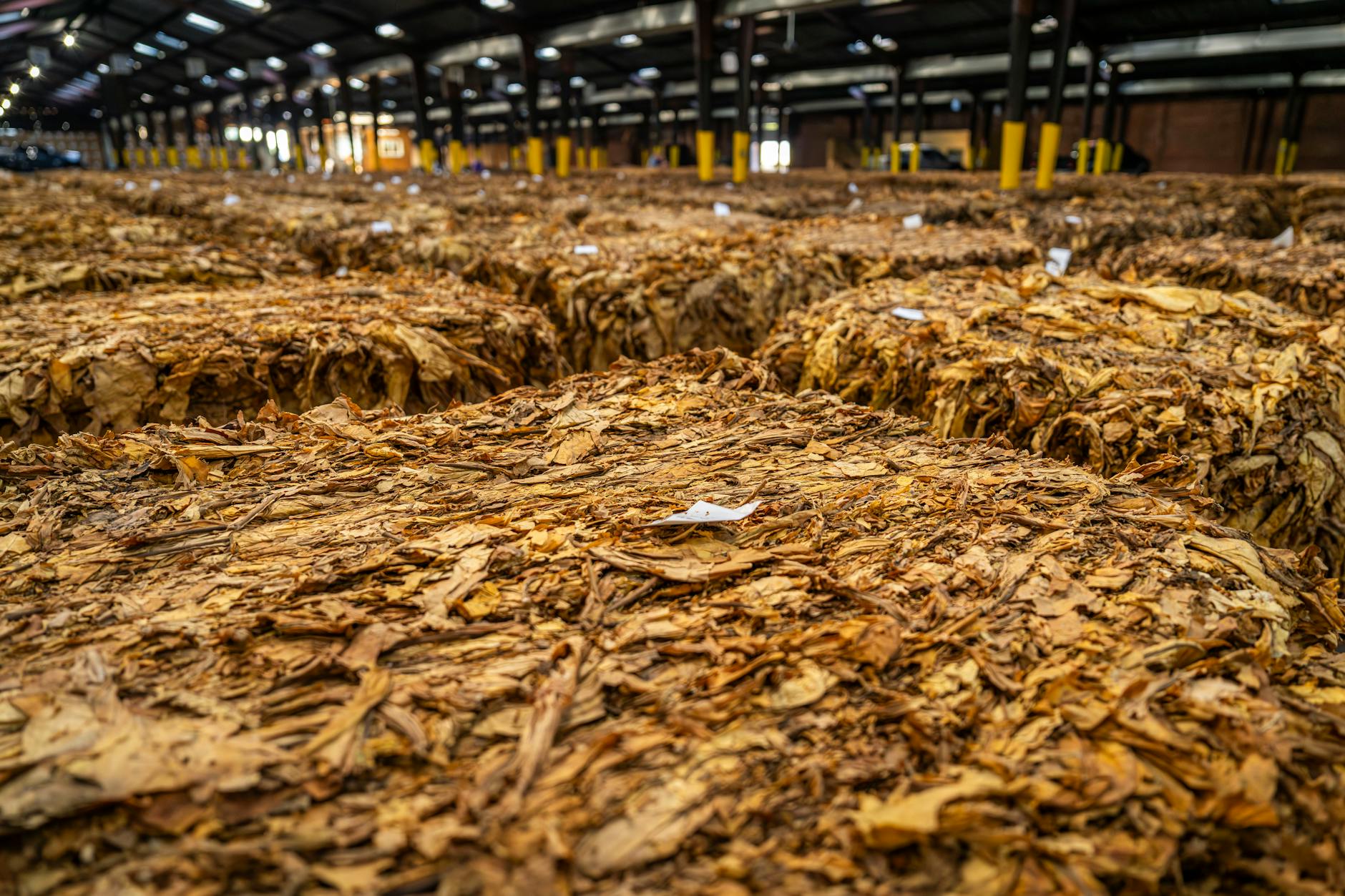 First Spot Commodity Basket ETF Launches on NYSE Arca