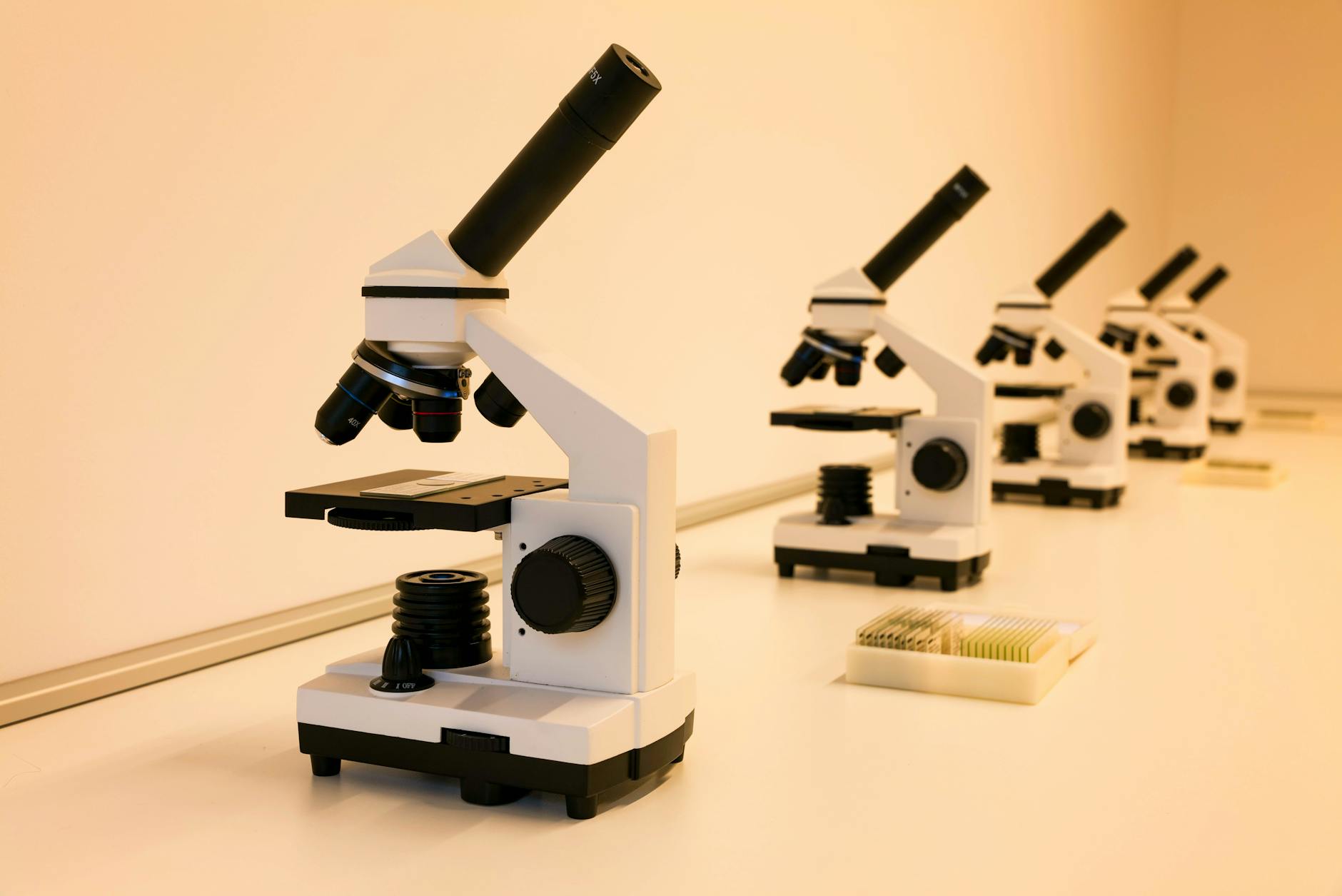 Laboratory equipment and bioprocessing supplies illustrate Merck KGaA’s stronger life-science momentum after its first-quarter earnings update.