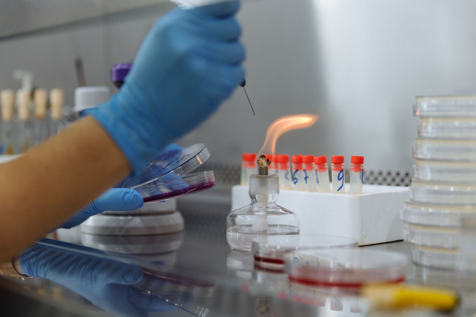 Scientists work in a biotechnology laboratory as NewcelX reports first-half 2026 financial results and higher development spending.